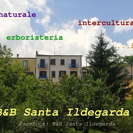 B&B Santa Ildegarda Cantalupo nel Sannio Kamer foto