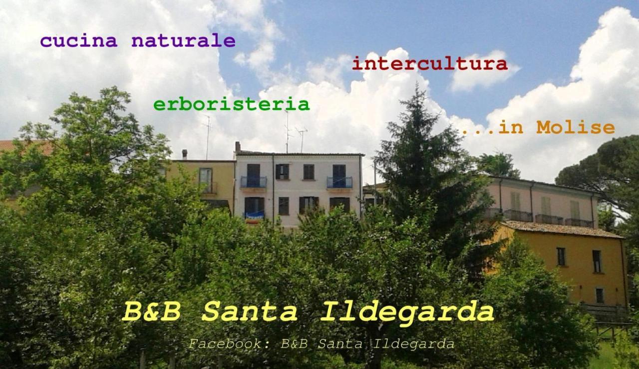 B&B Santa Ildegarda Cantalupo nel Sannio Kamer foto